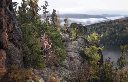 Жизнь на скалах