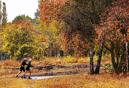 Прогулка в осеннем парке.