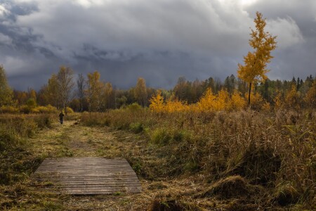 Осеннее