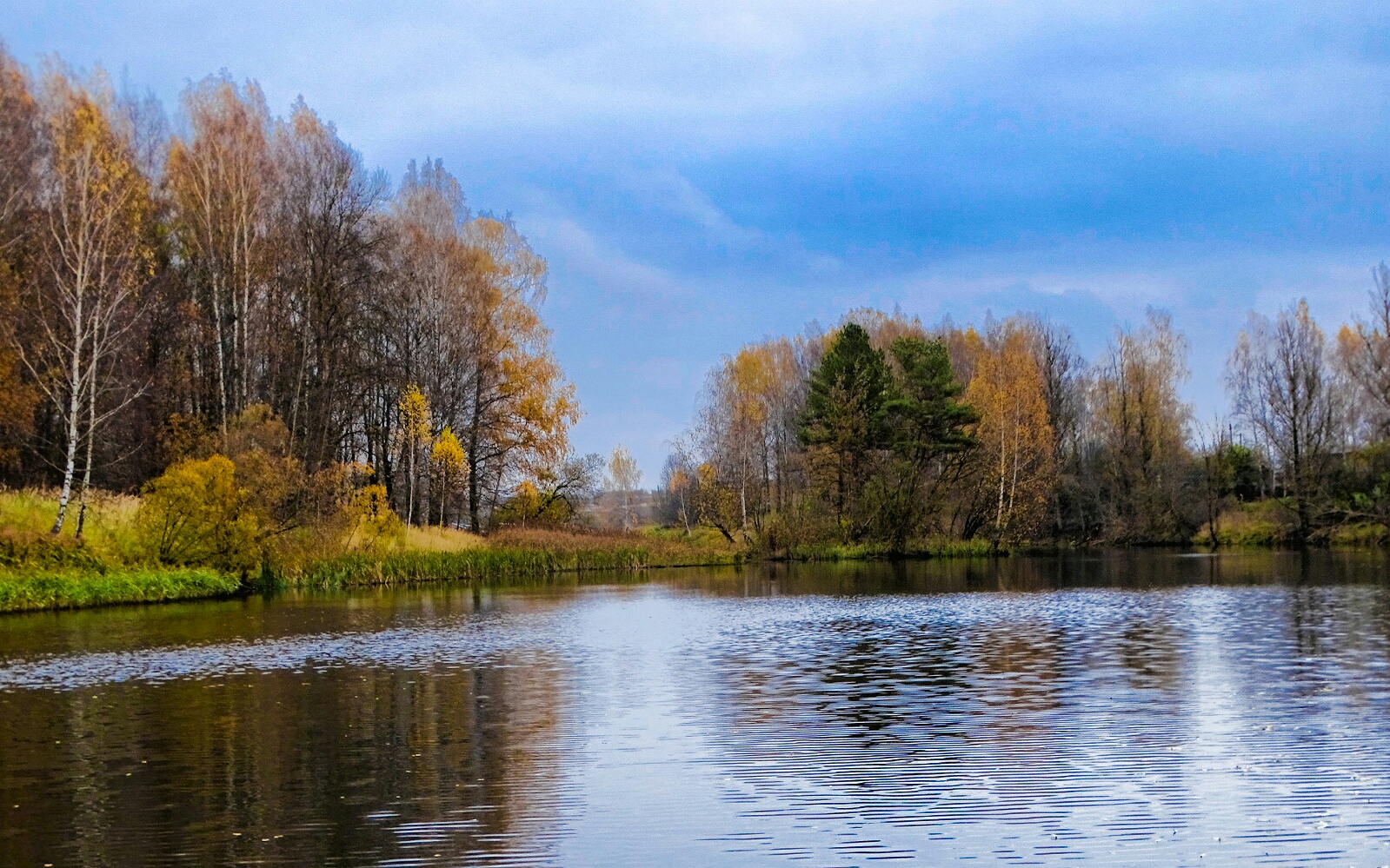 Природа Смоленщины 
