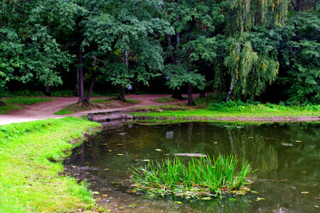 Верхний Кузьминский пруд