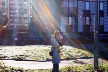 В лучах холодного солнца 