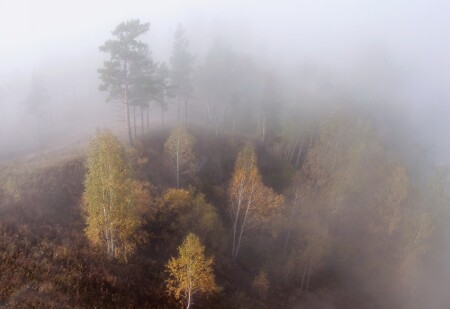 Во власти тумана