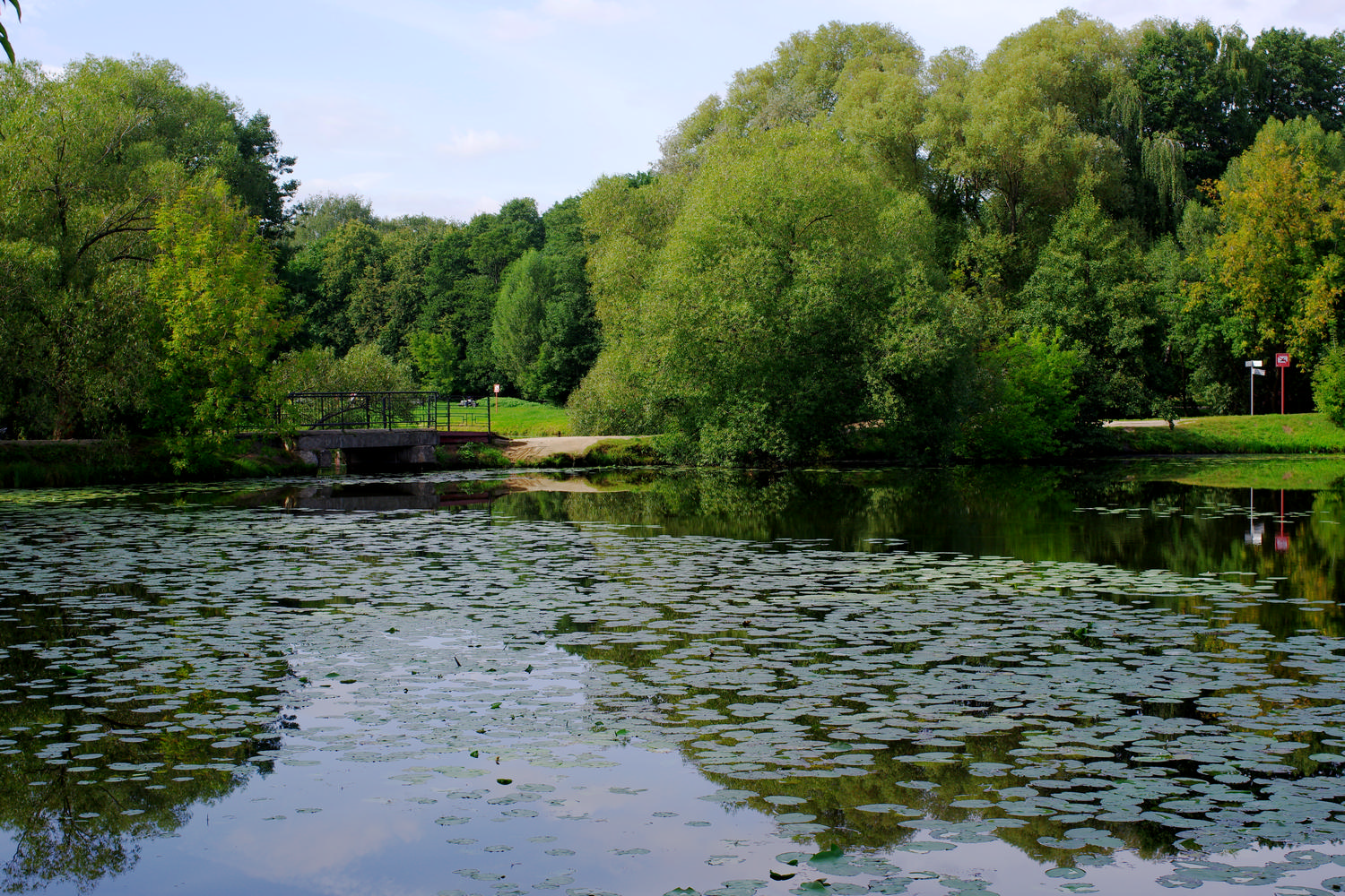 Нижний Кузьминский пруд