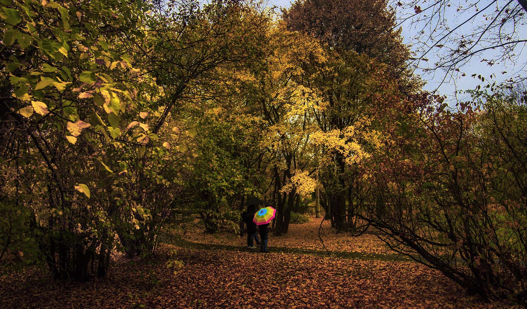 Осенний день