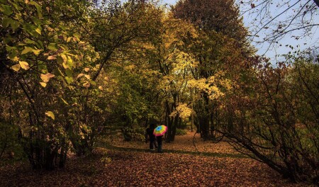 Осенний день