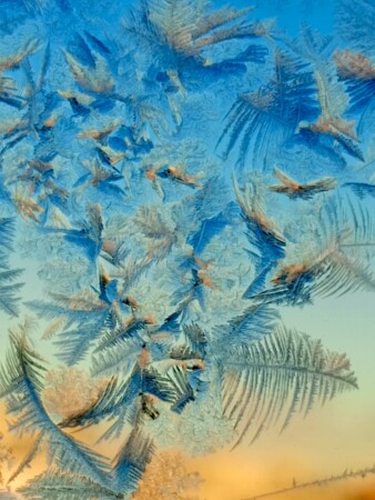 Пух и перья