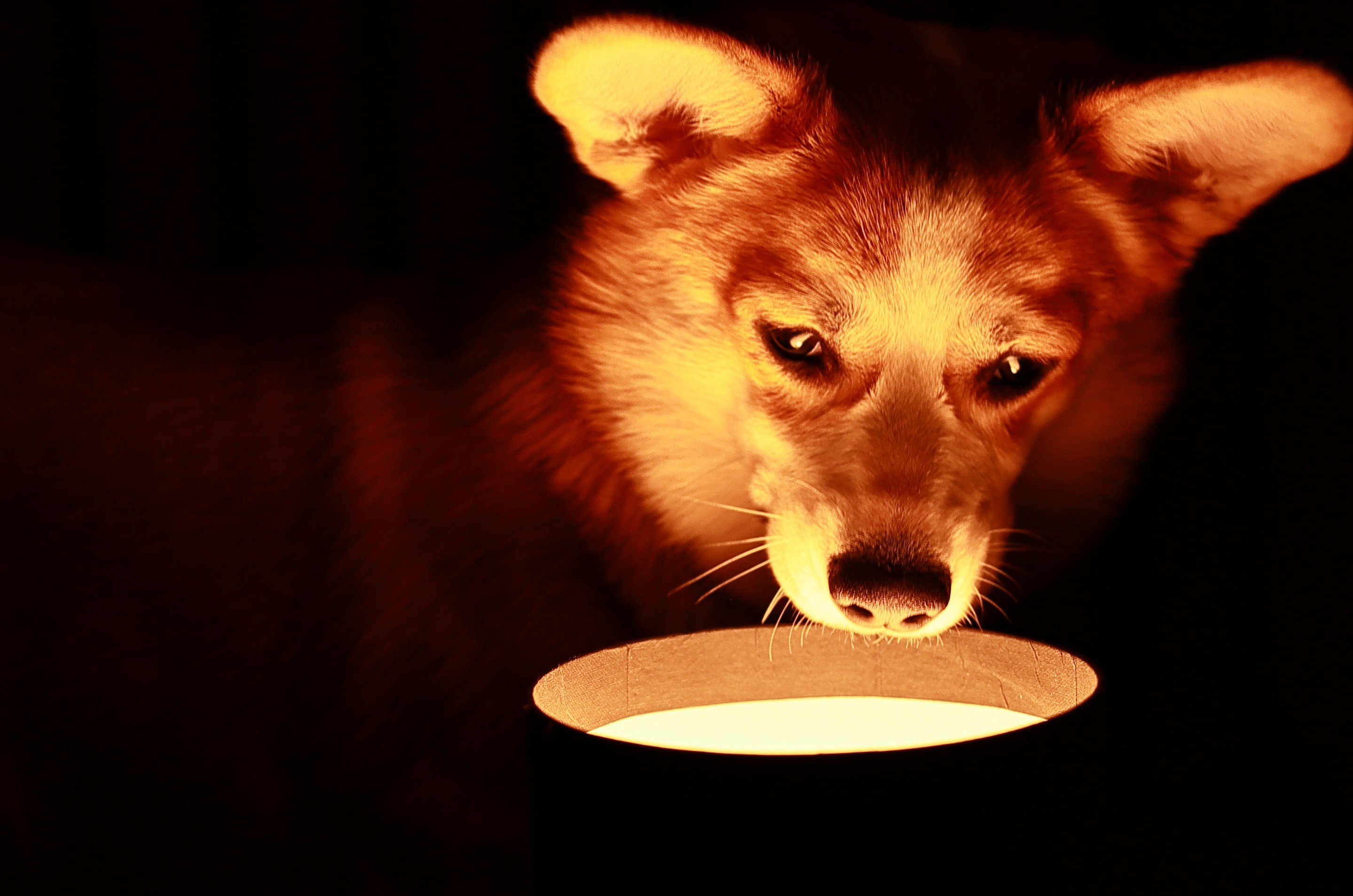 В поисках чуда