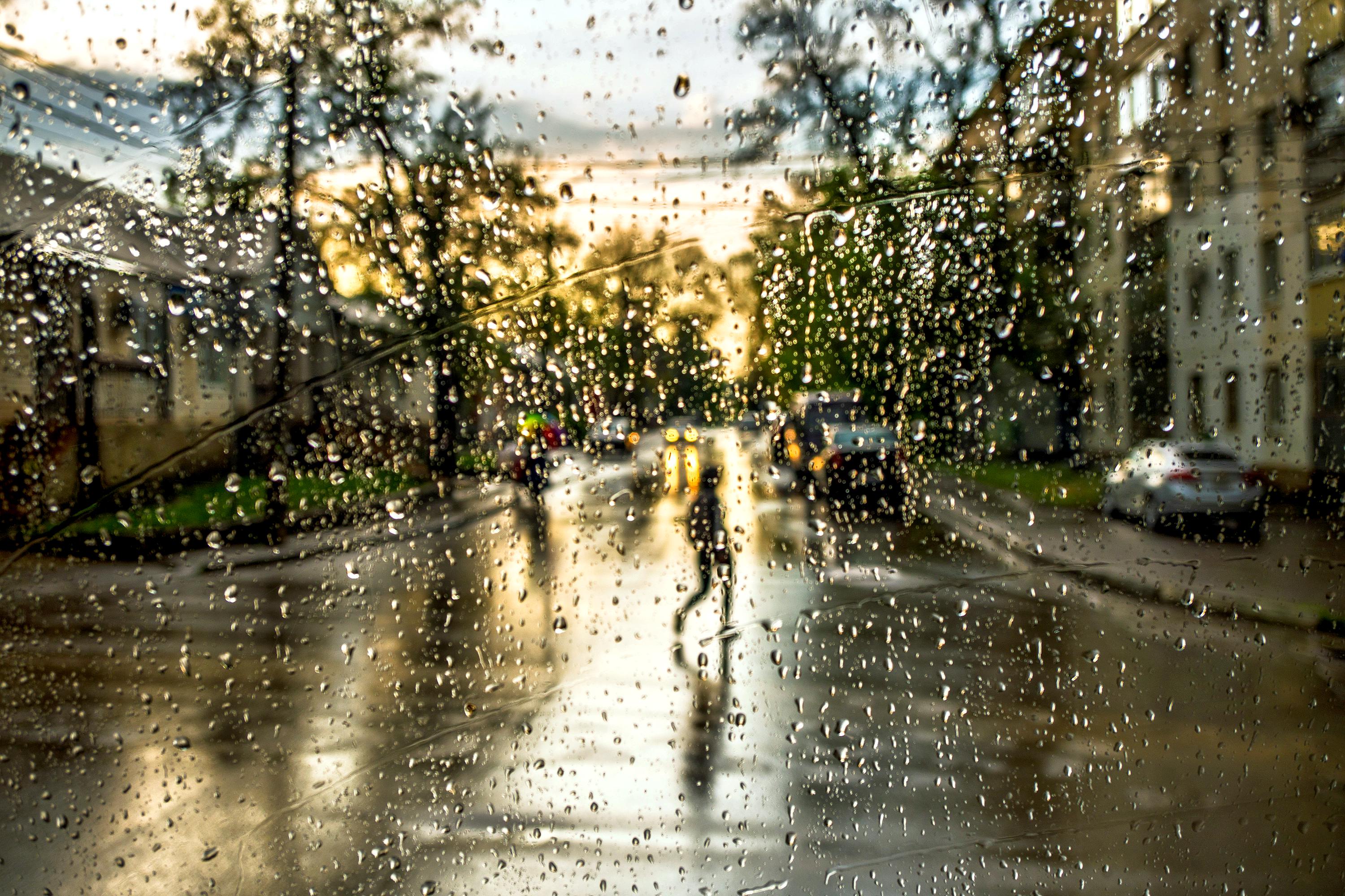 Дождь пошел