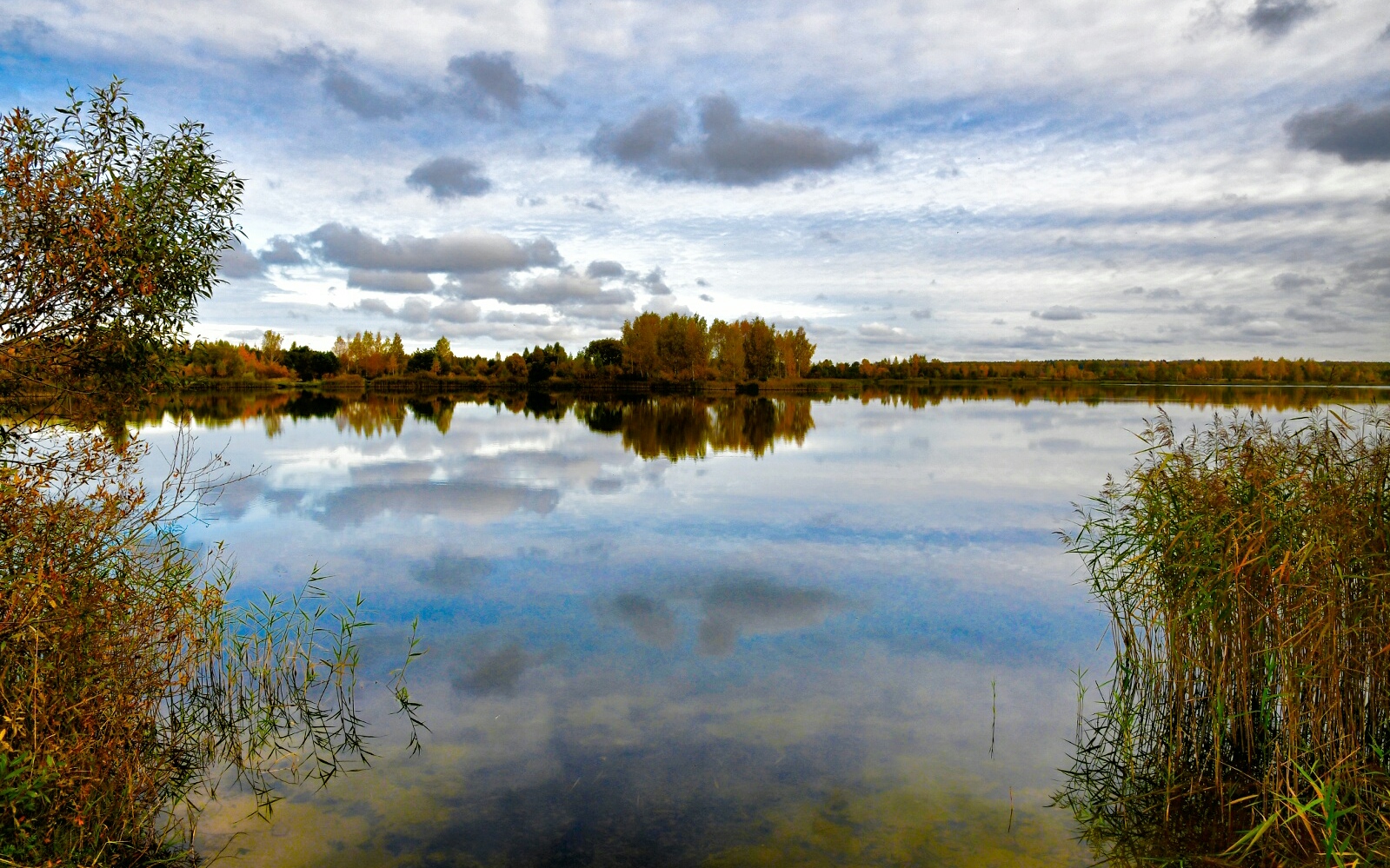 Природа Смоленщины 