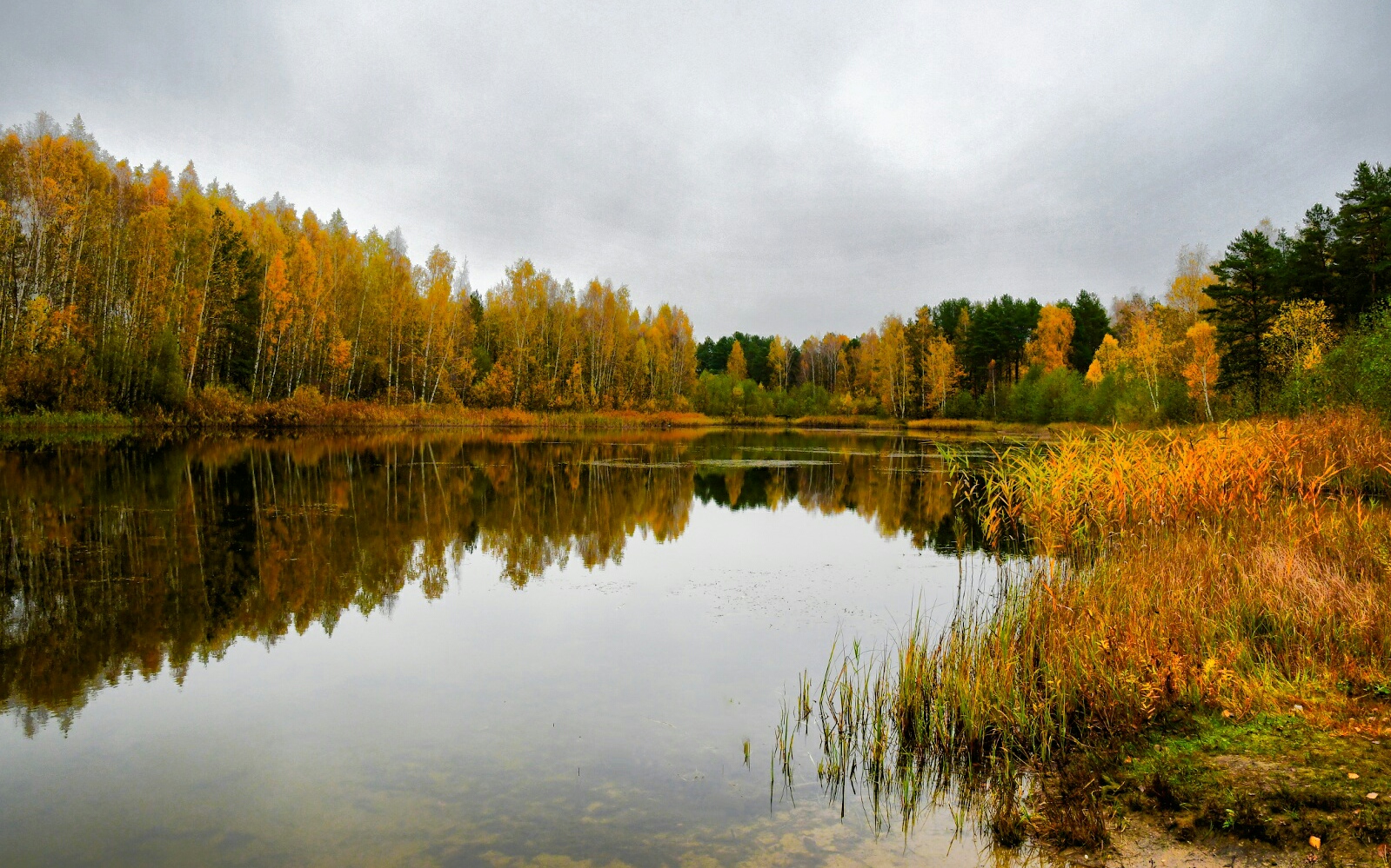 Природа Смоленщины 