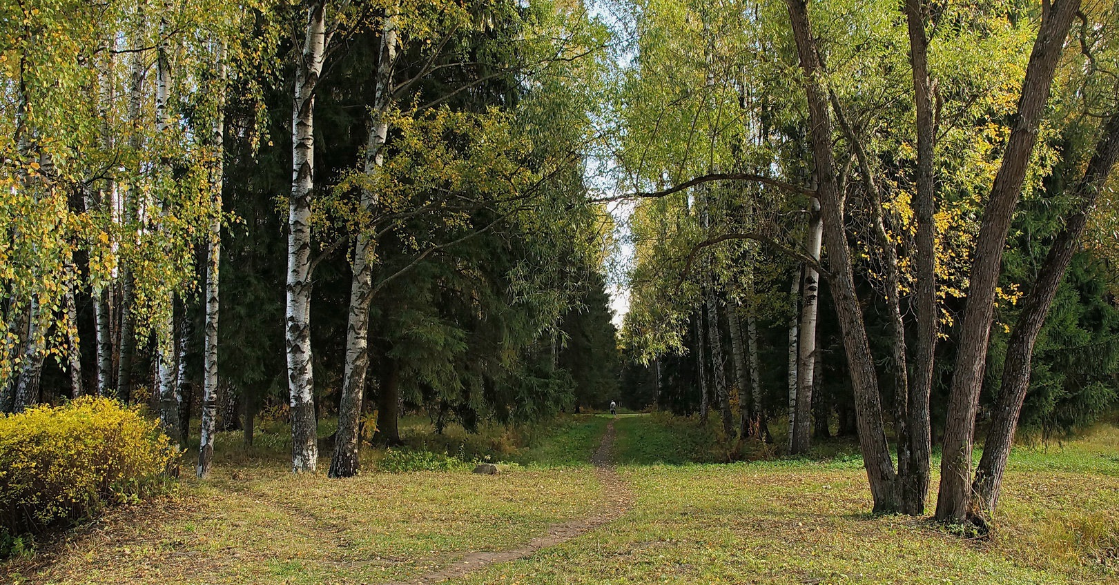 Темные аллеи
