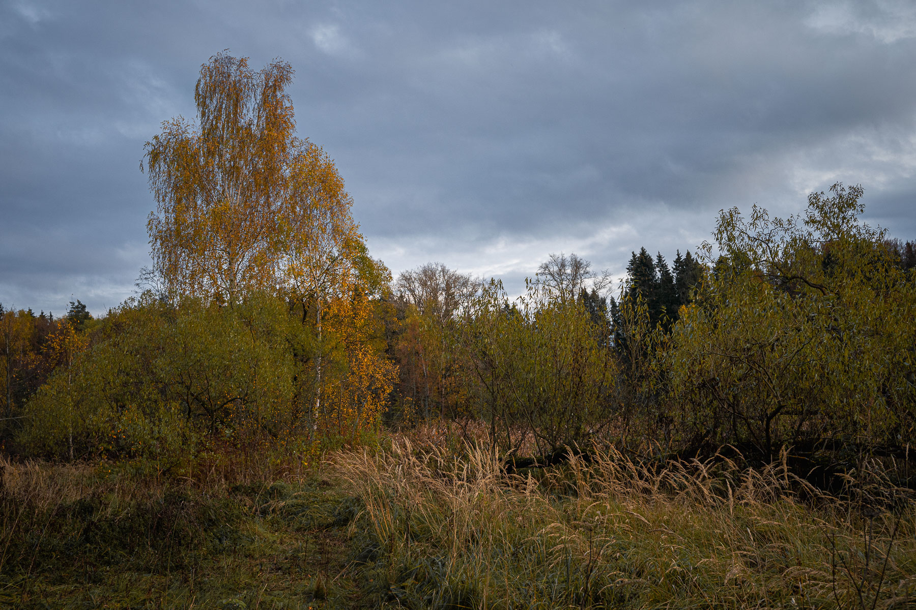 Осеннее
