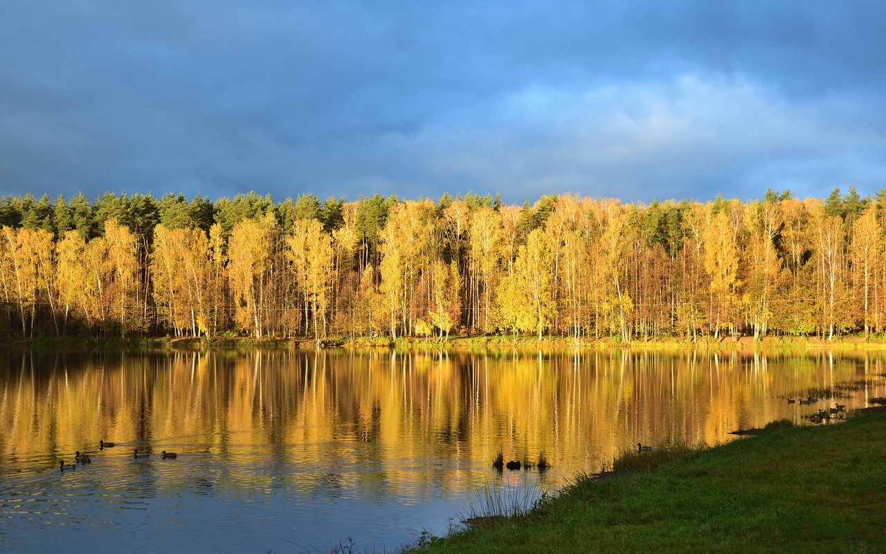 Золотая осень