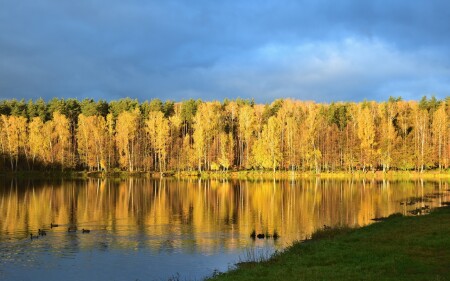Золотая осень