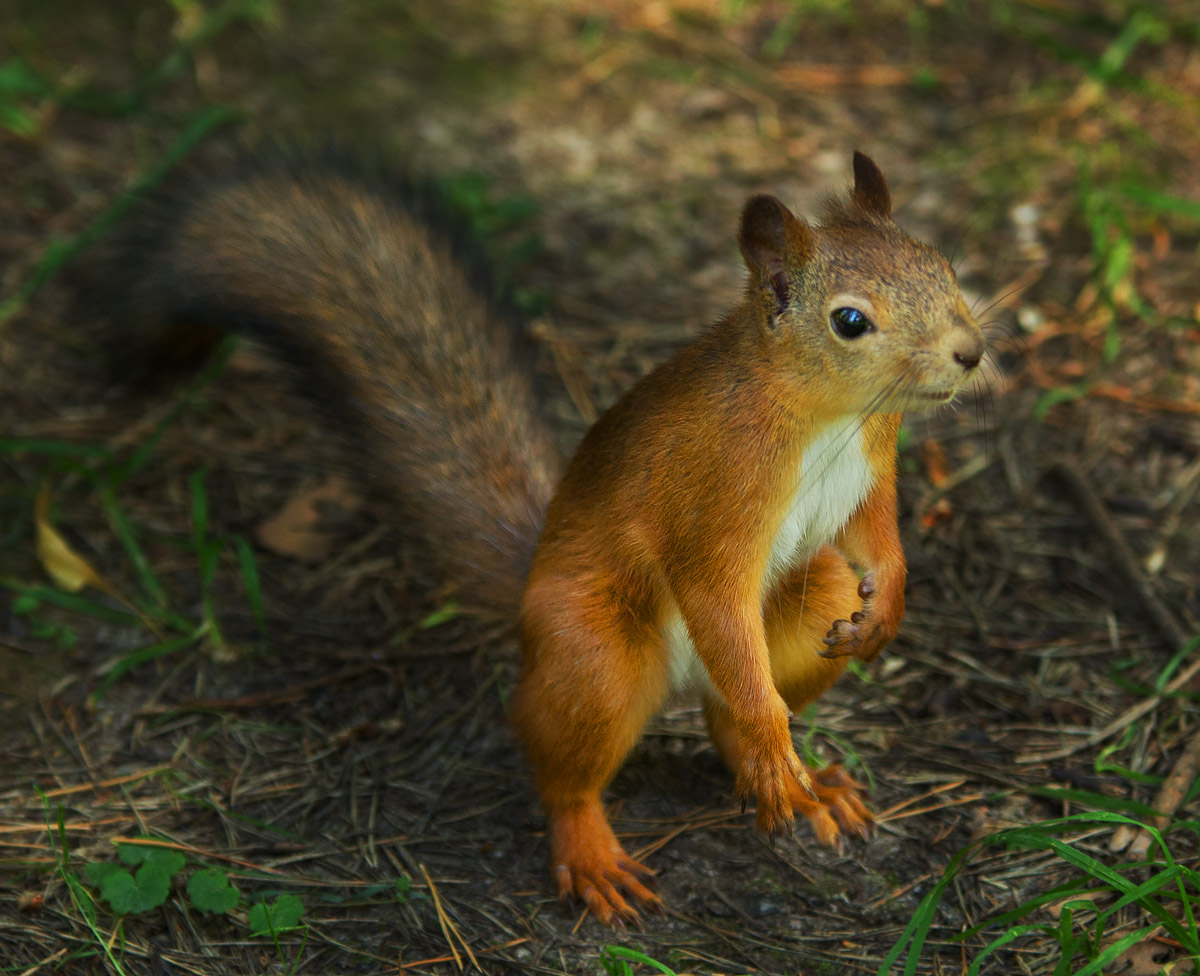 В режиме ожидания