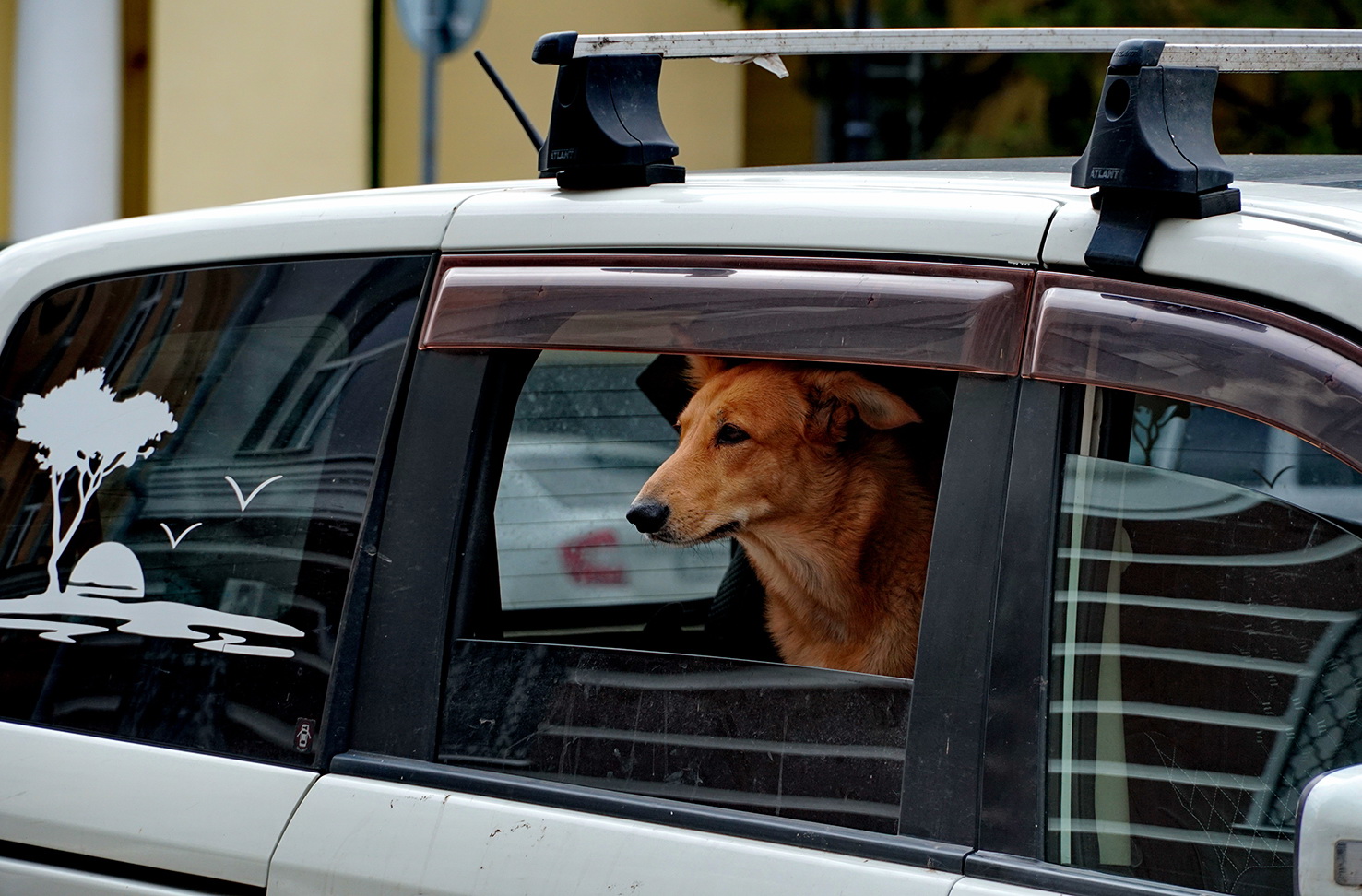 В дальний путь собрались .
