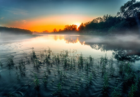 на реке утром