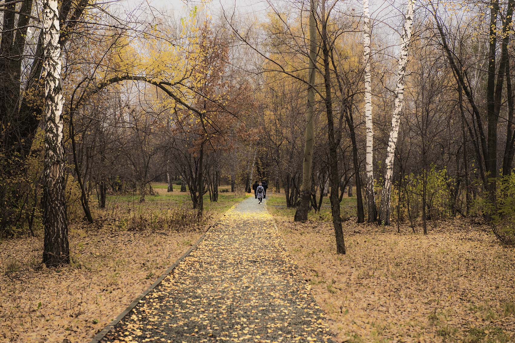 Прогулка по осеннему парку