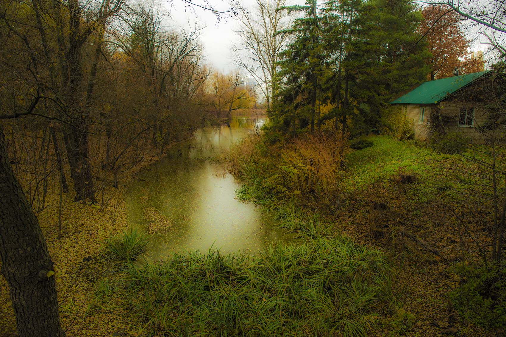 Домик у болота
