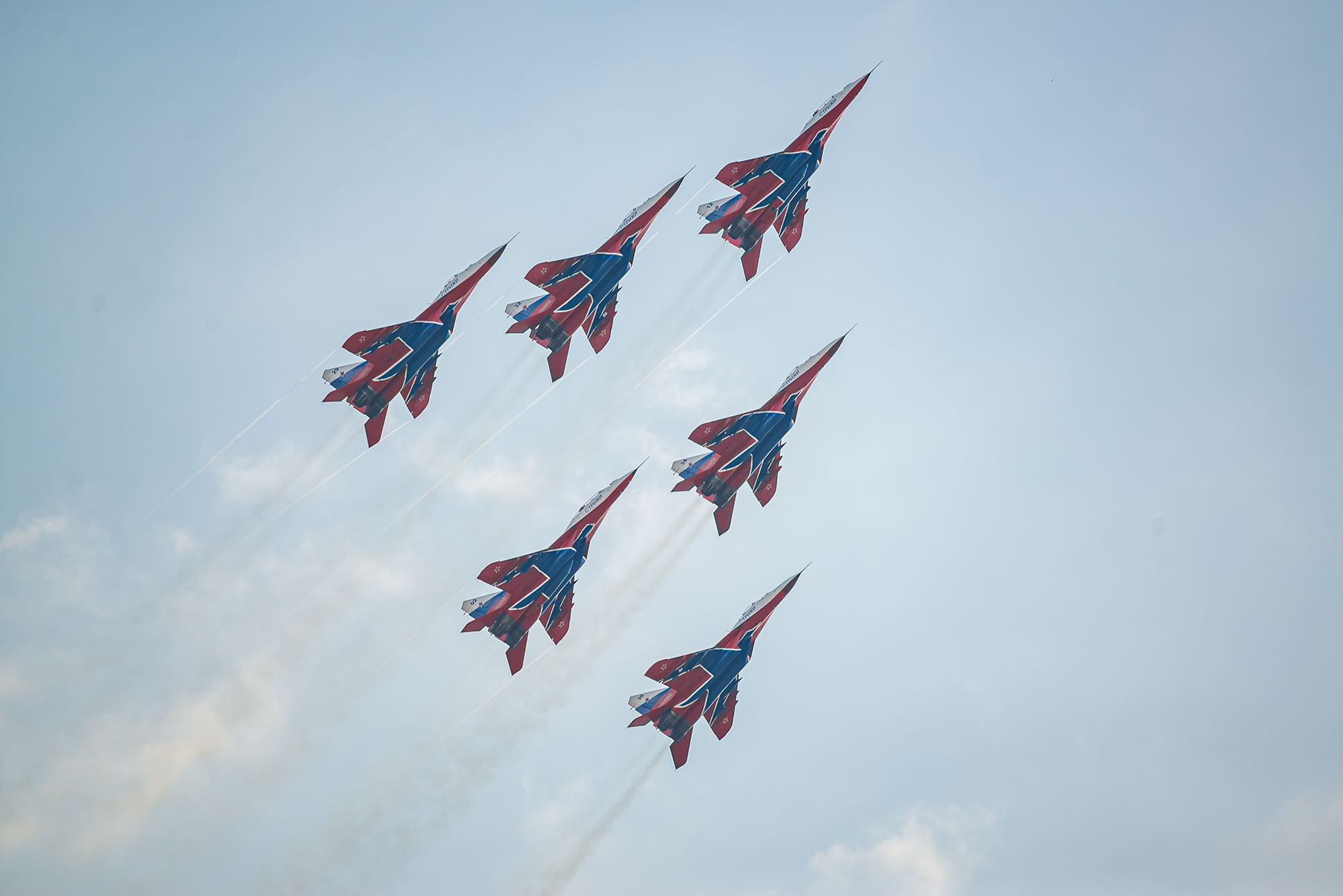 Стрижи летят ввысь