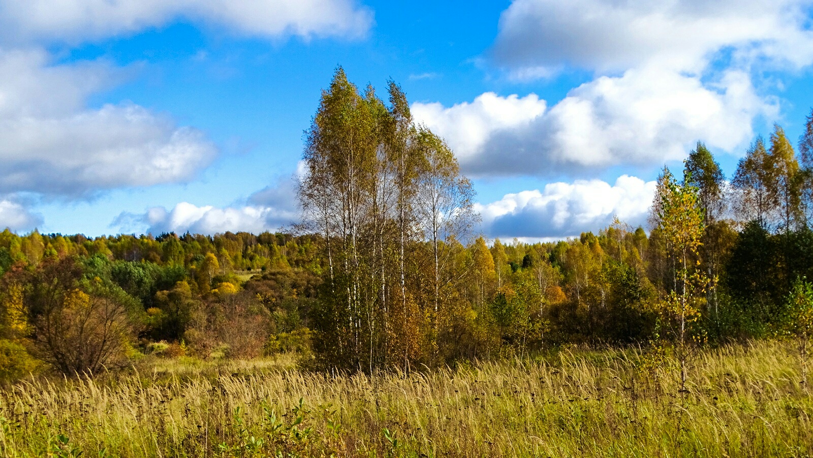 Природа Смоленщины 