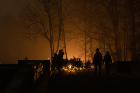 Силуэты в туманном парке