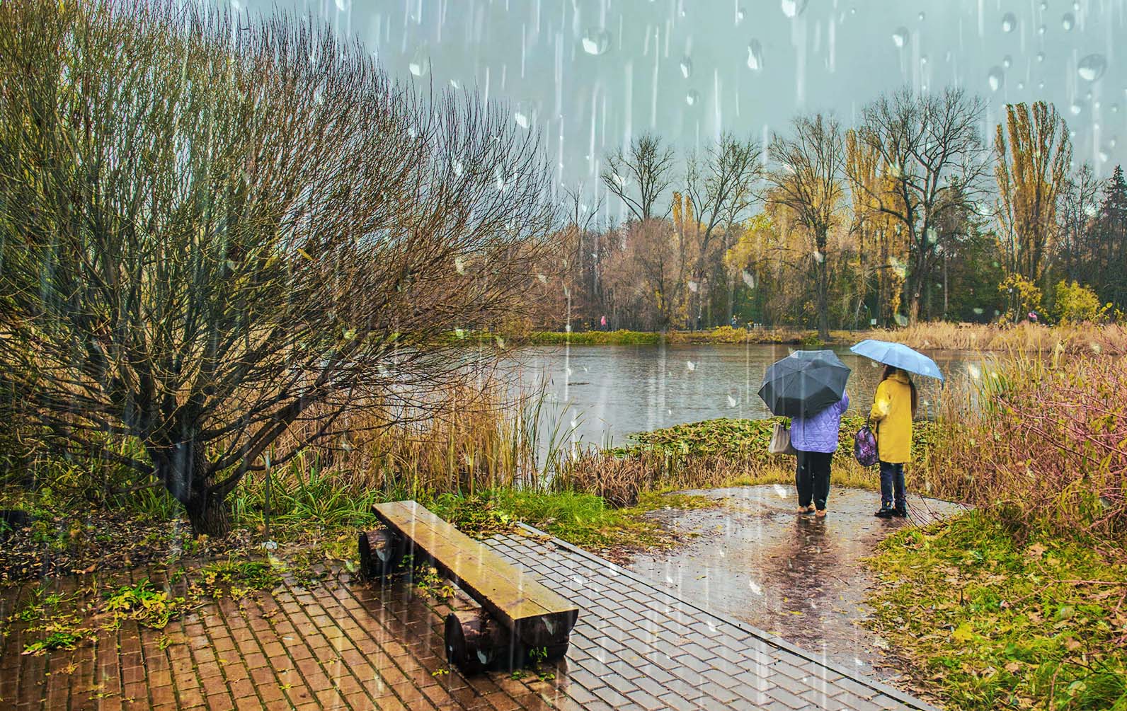 Под дождем на берегу озера