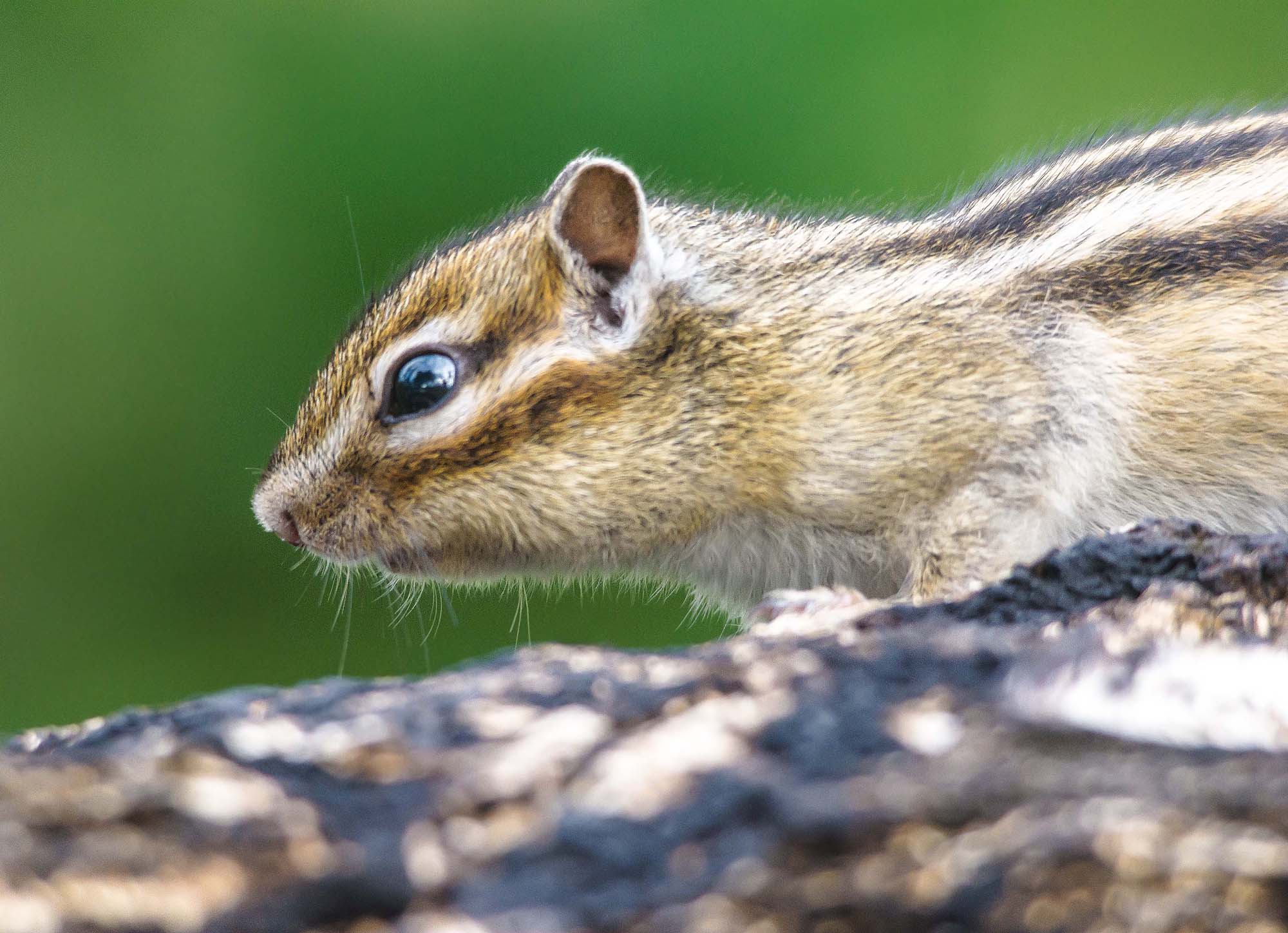 Простое любопытство.
