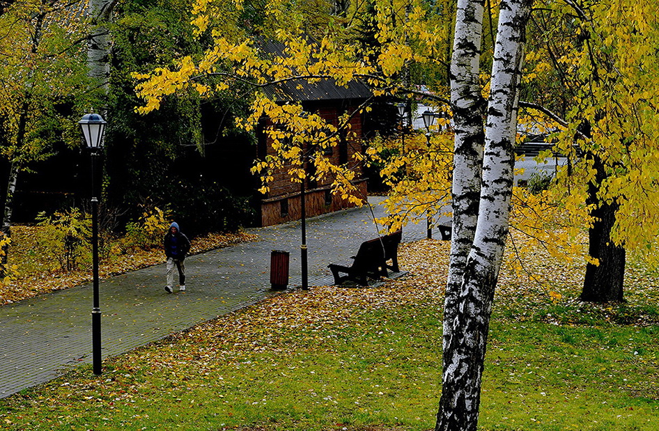 Прогулка на фоне осени.