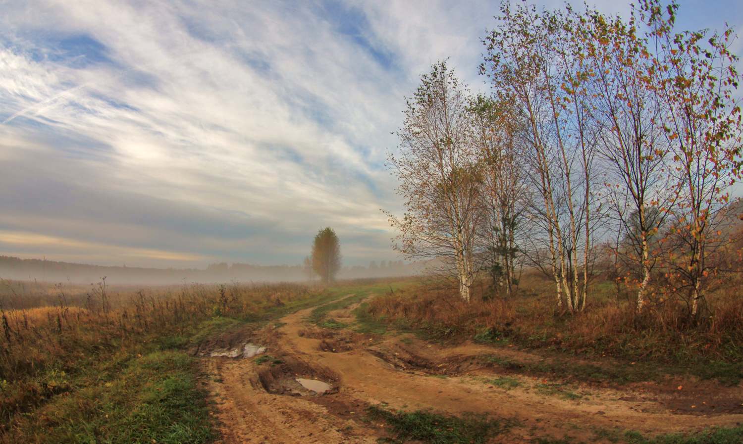 Поздняя осень...