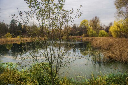 Осеннее озеро