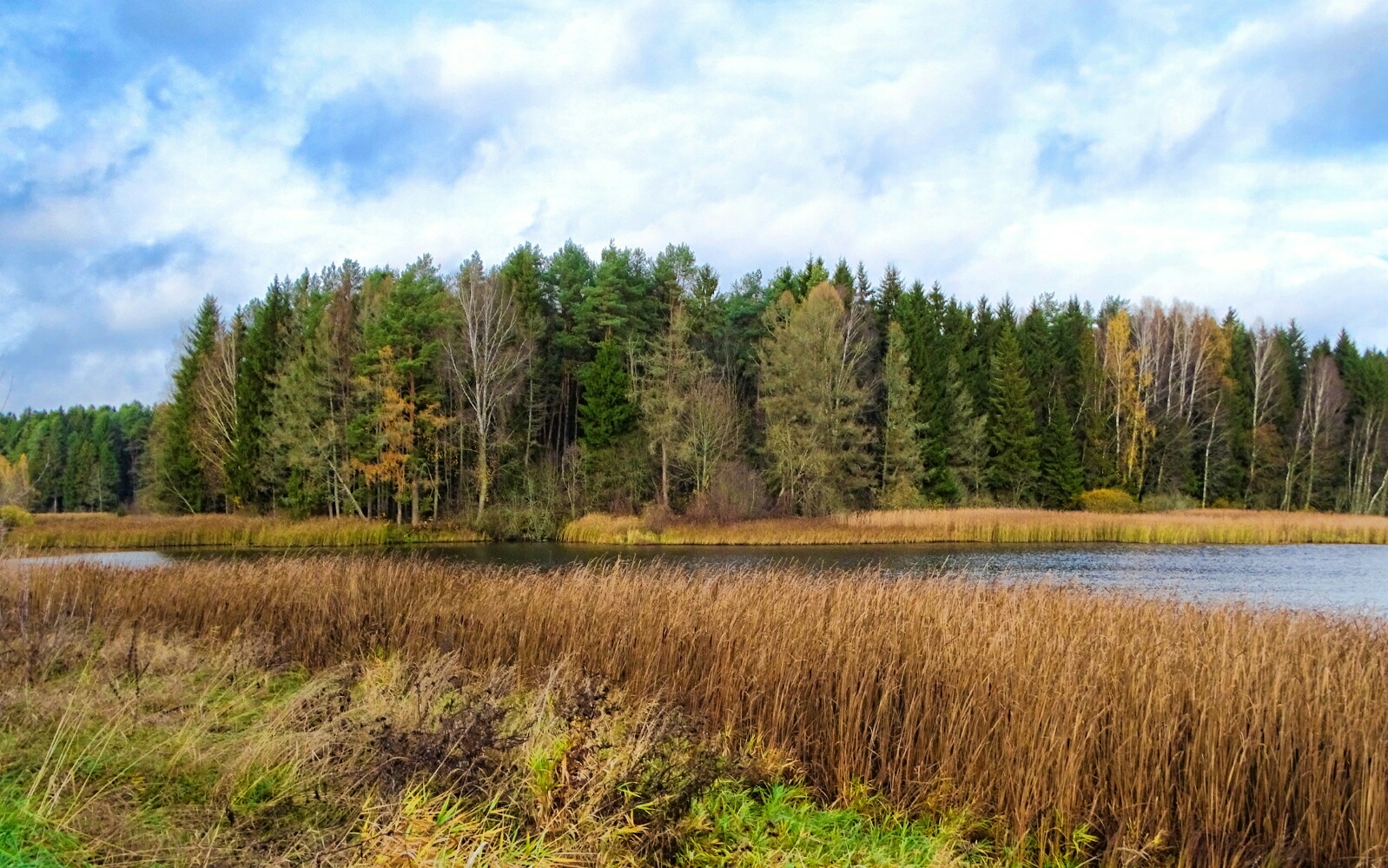 Природа Смоленщины 