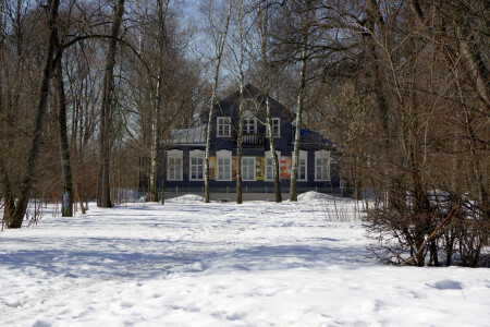 Кузьминский парк