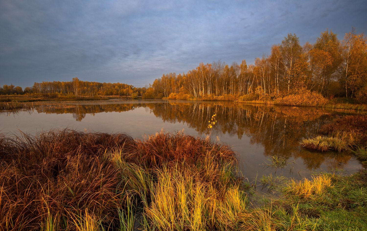 Осенний пруд...