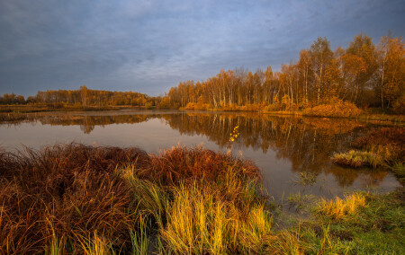 Осенний пруд...