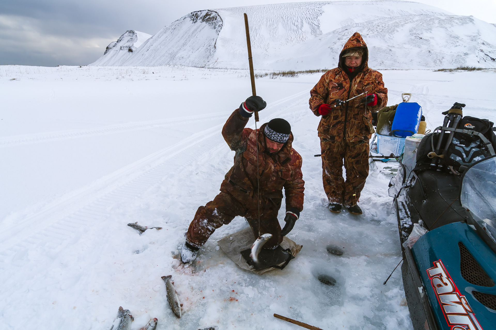 Попался, голубчик