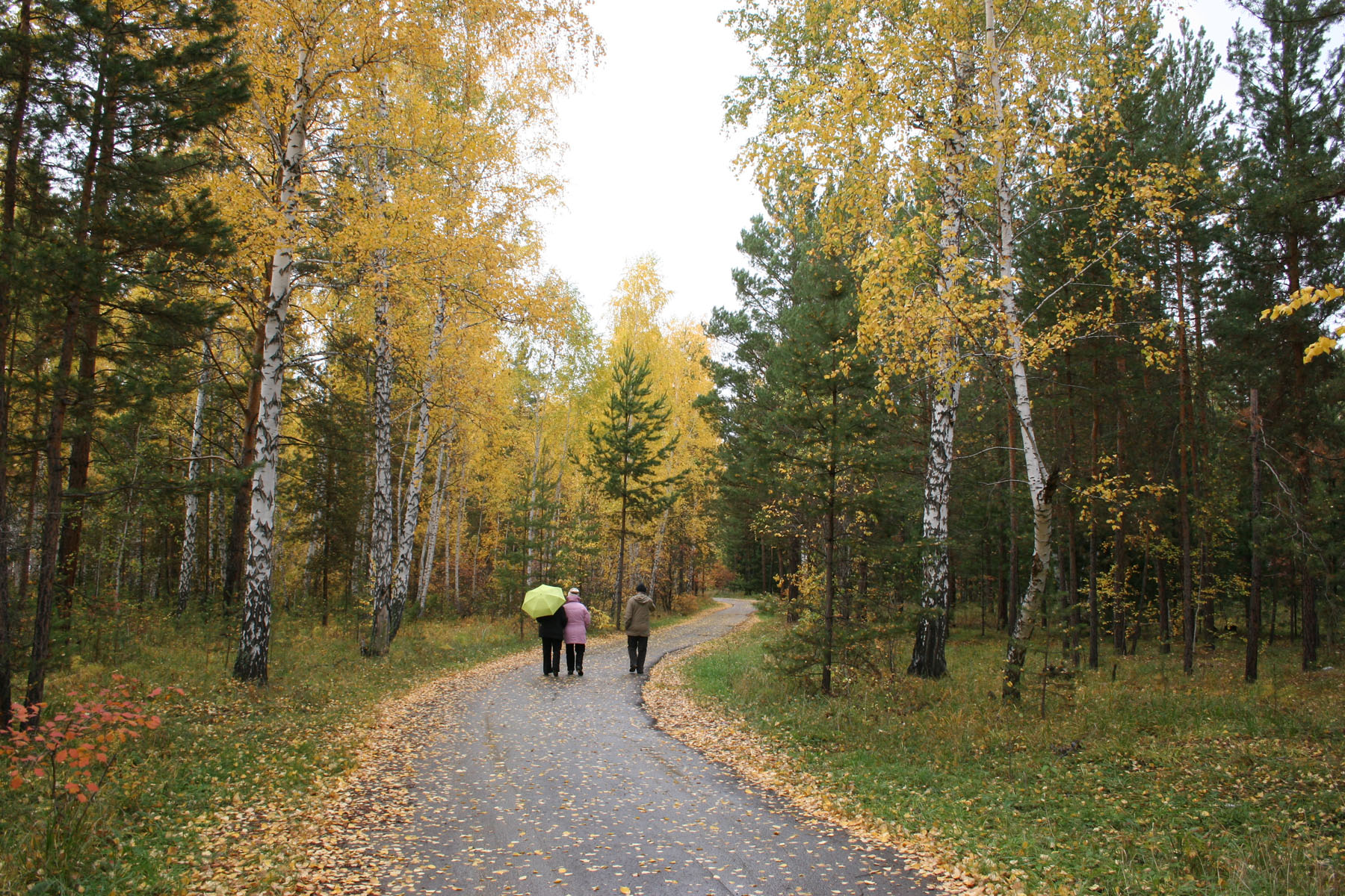 Осенний этюд