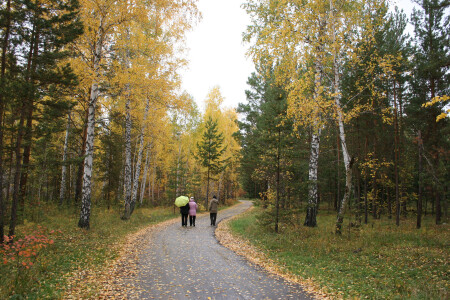 Осенний этюд