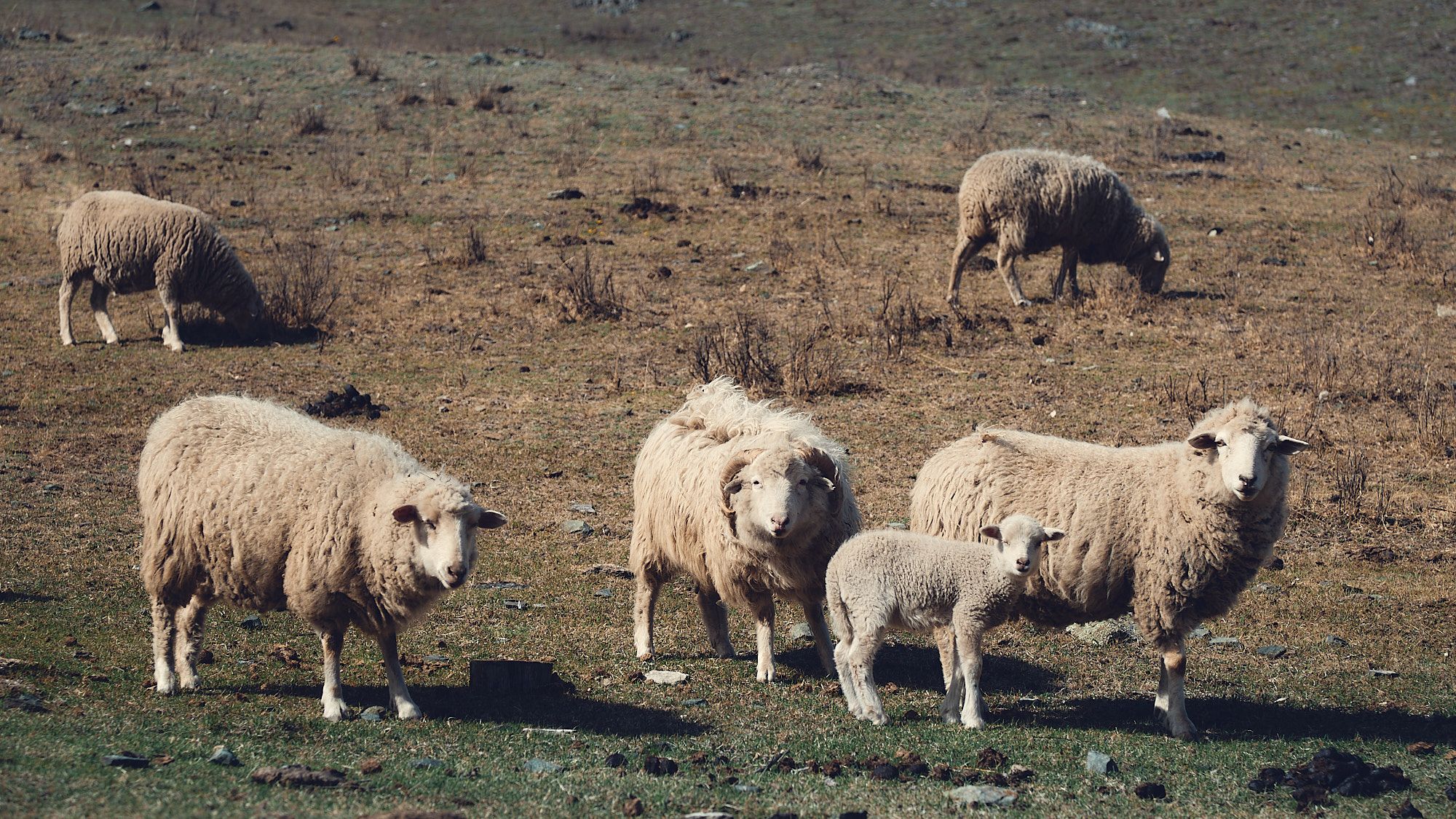 смотрим все на меня