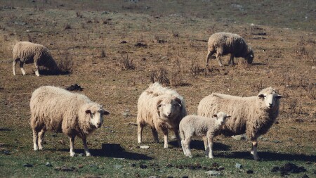 смотрим все на меня