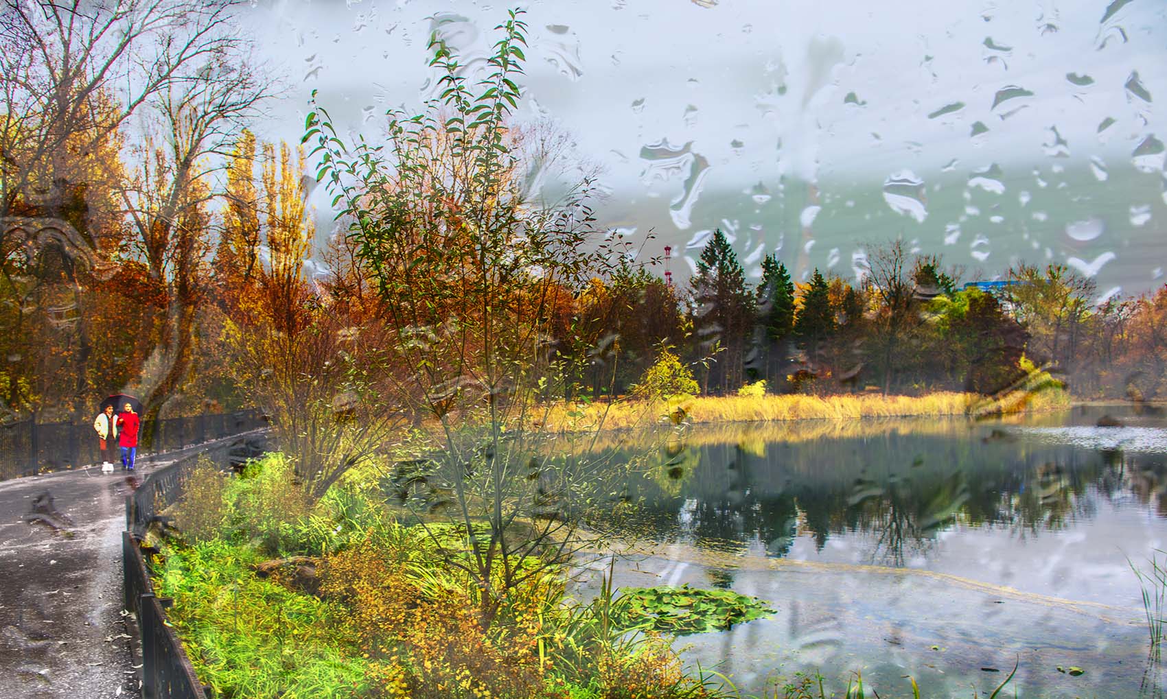 Дождливая осень