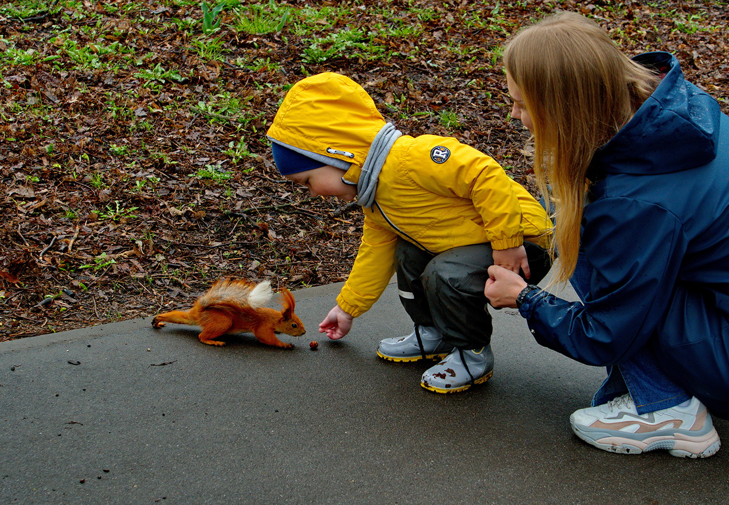 Давай с тобой дружить.