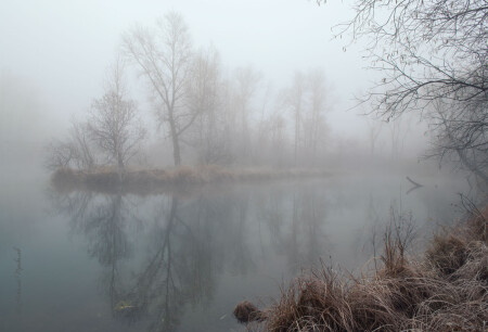 Утро туманное.