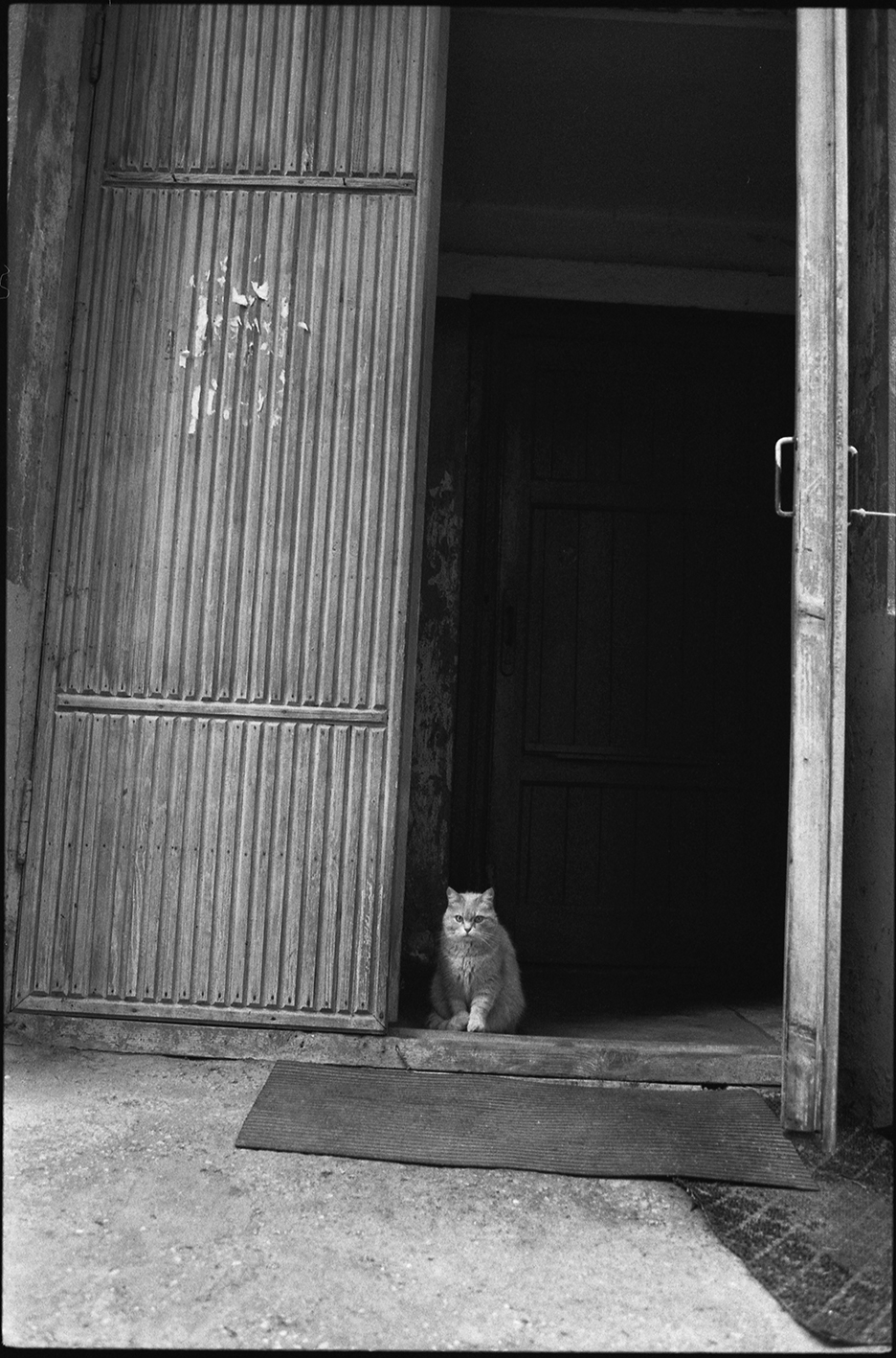 Подъезд (Серпухов, 2020)