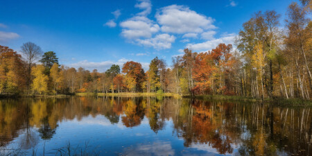 Краски осени 2025