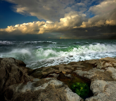 Про лужу, где живут зелёные водоросли, бурное море и далёкую радугу.