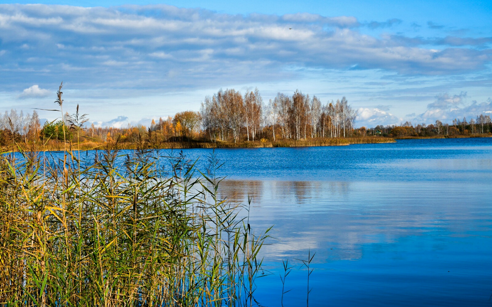 Природа Смоленщины 