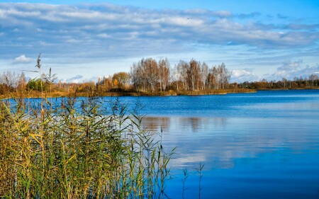 Природа Смоленщины 