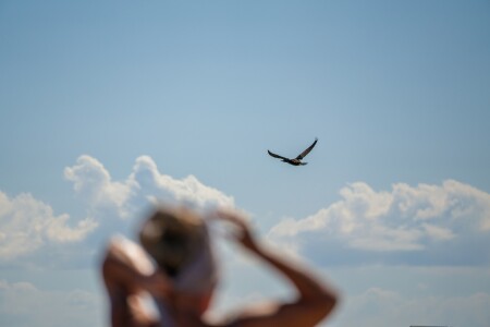 Улетел, но обещал вернуться